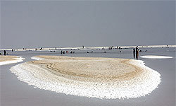  بحران خشک شدن دریاچه ارومیه مهار می‌شود؟ 