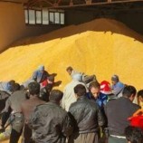 اعلام آمادگی ایران برای خرید ۳ محصول کشاورزی از اروپا