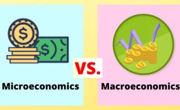 تفاوت بین اقتصاد خرد و کلان چیست؟